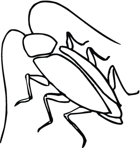 Cockroach 6 Coloring page