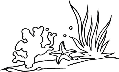 Coral Reef Coloring page