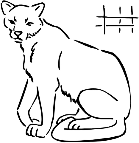 Cougar  Coloring page