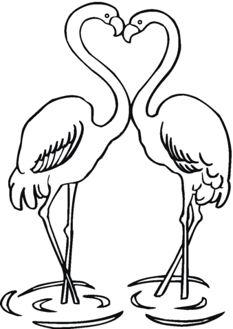 Couple Of Flamingo Coloring page