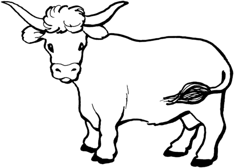 Cow 10 Coloring page