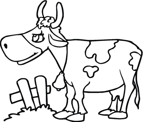 Cow Illustration 3 Coloring page