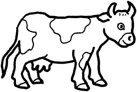 Cow 20 Coloring page