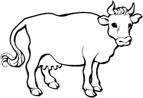 Cow 21 Coloring page
