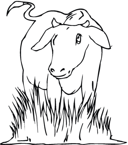 Cow 23 Coloring page