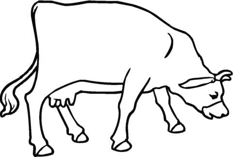 Cow 25 Coloring page