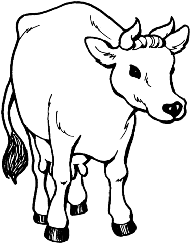 Cow 26 Coloring page