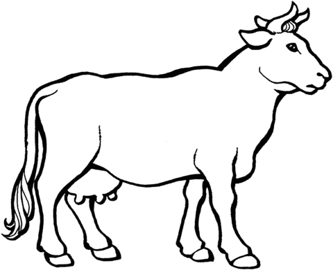 Cow 3 Coloring page