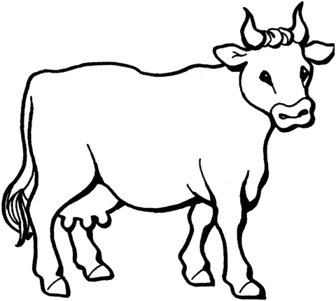 Cow 6 Coloring page