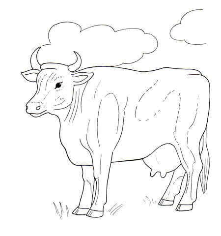 Cow And Clouds Coloring page