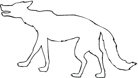 Coyote outline Coloring page