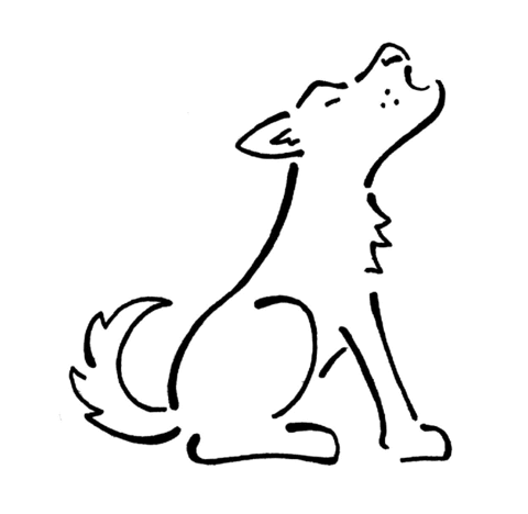 Coyote 5 Coloring page