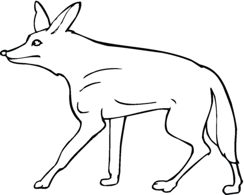 Coyote 6 Coloring page