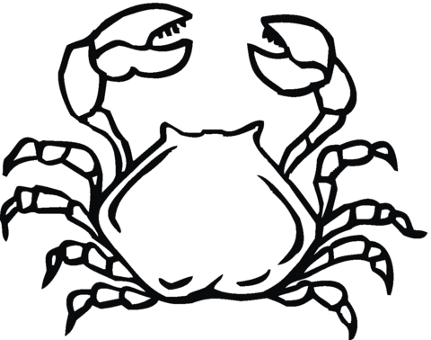 Crab 16 Coloring page