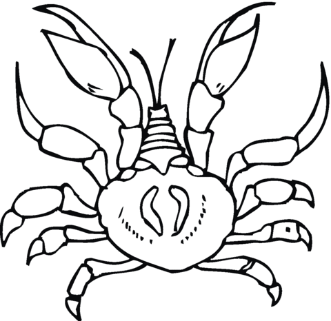 Crab  Coloring page