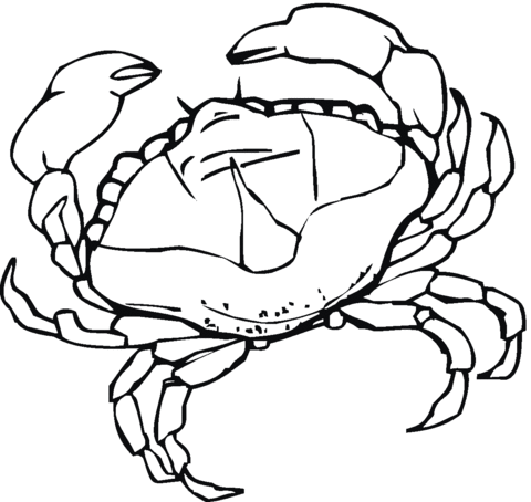 Crab  Coloring page