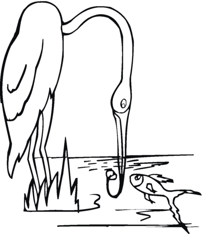 Crane is fishing Coloring page
