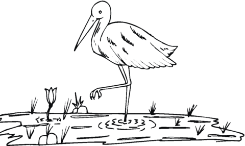 Crane on the lake Coloring page
