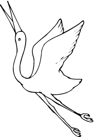 Crane fly Coloring page