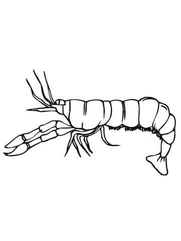 Crawfish Side View Coloring page