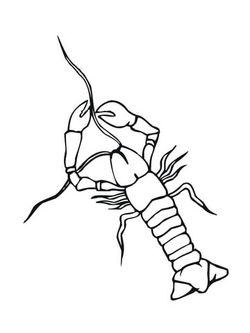 Crayfish Crowfish Coloring page