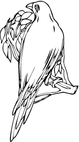 Crow Coloring page