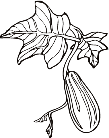 Cucumber 4 Coloring page