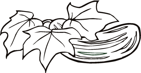 Cucumber 5 Coloring page