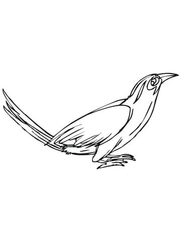 Curious Crow Coloring page
