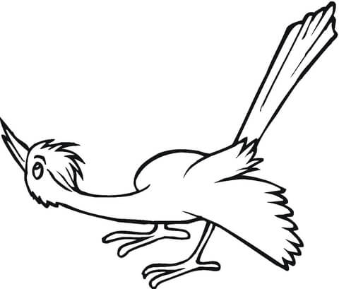 Curious Cuckooo  Coloring page