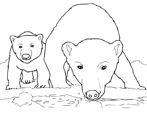 Curious Polar Bear Mother and Cub Coloring page