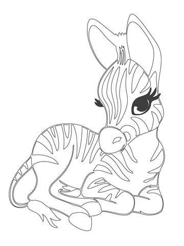 Cute Baby Zebra Coloring page
