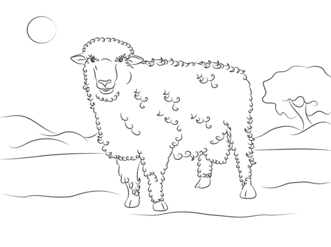 Cute Corriedale Sheep  Coloring page
