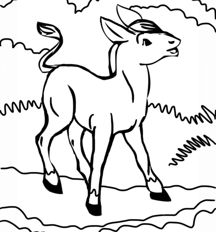 Cute Donkey Coloring page