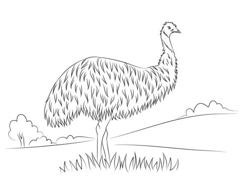 Cute Emu Coloring page