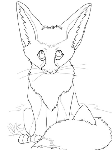 Cute Fennec Fox Coloring page