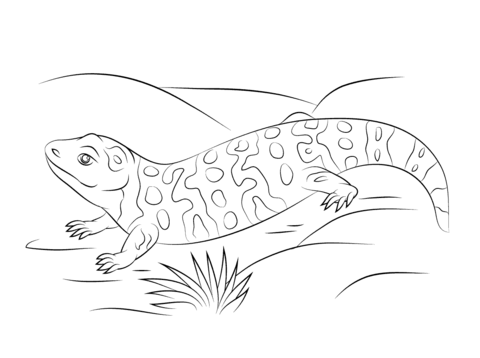 Cute Gila Monster Coloring page