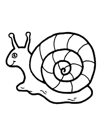 Cute Snail Coloring page