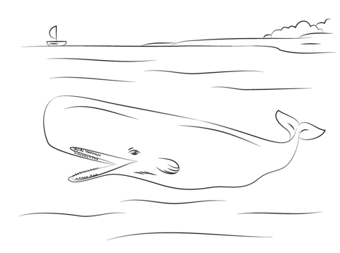 Cute Sperm Whale Coloring page
