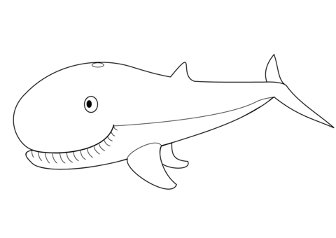 Cute Whale Coloring page