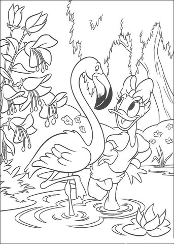 Daisy And White Egret  Coloring page