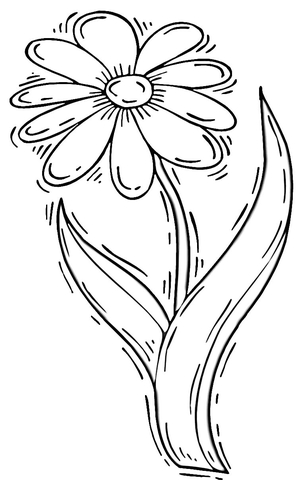 Daisy Flower Coloring page