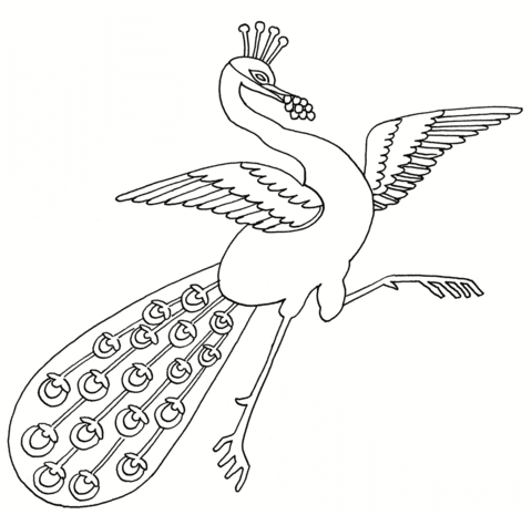 Dancing Peacock Coloring page