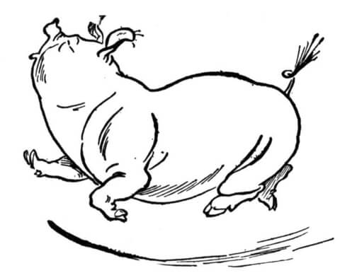 Dancing Pig Coloring page