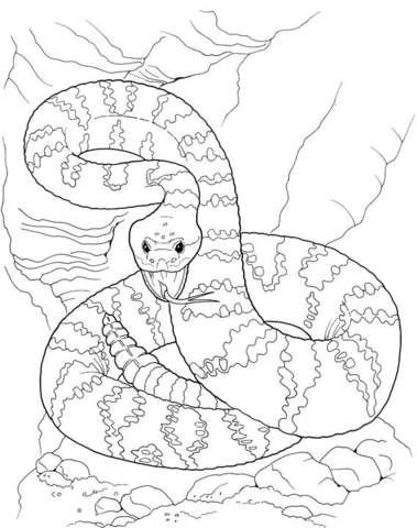 Dangerous Rattlesnake  Coloring page