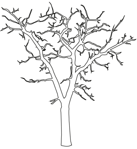 Dead Tree Outline Coloring page