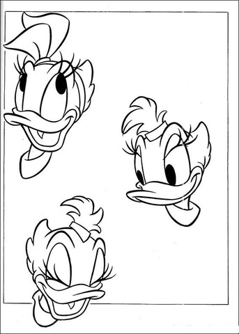 Daisy In Three Faces Coloring page