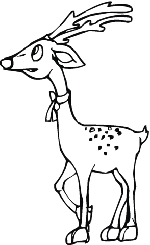 Deer 10 Coloring page