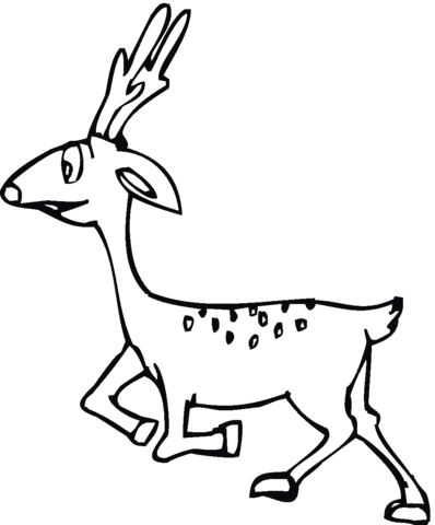 Deer 20 Coloring page