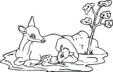 Mother roe deer and baby Coloring page